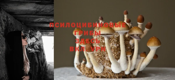 прущий лед Верея