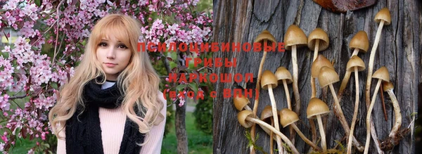 мескалин Верхний Тагил