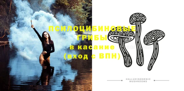 прущий лед Верея